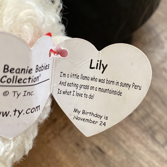 🦙TY Llama Beanie - Picture 6 of 6